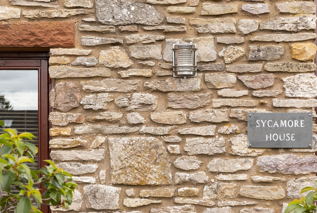 Wall Light
