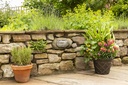 Commercial Slimline Bulkhead