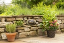 Decorative Eyelid Bulkhead