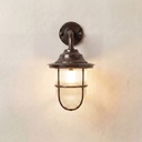 Quinn Guard Wall Lantern